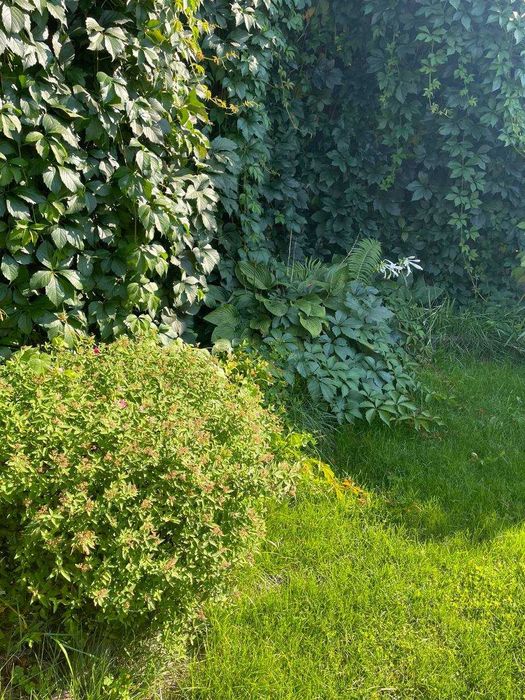 Таунхаус з ремонтом в Ірпені 163 м² Закритий комплекс, камін, меблі.