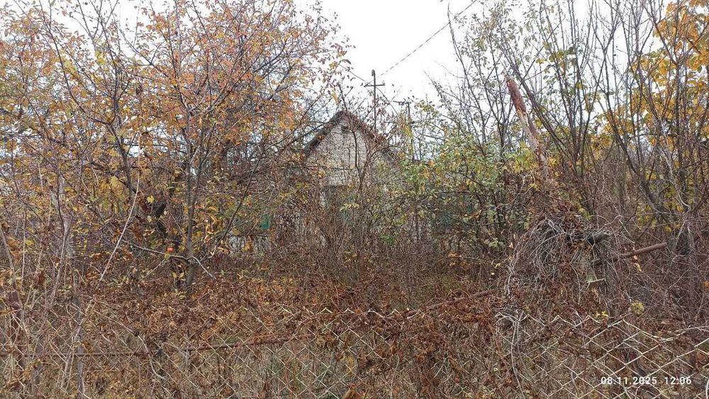 Здам Дачу в обмін на Догляд. Родюча земля, потрібно відновлення.