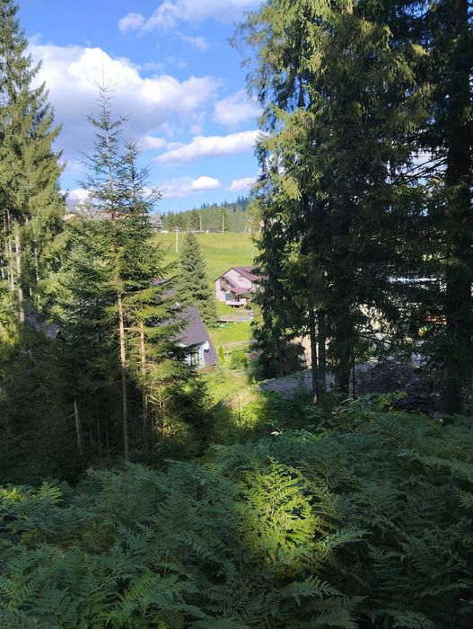 Продам половину будинку в Карпатах, І-Франківська об.  . с.Яблуниця