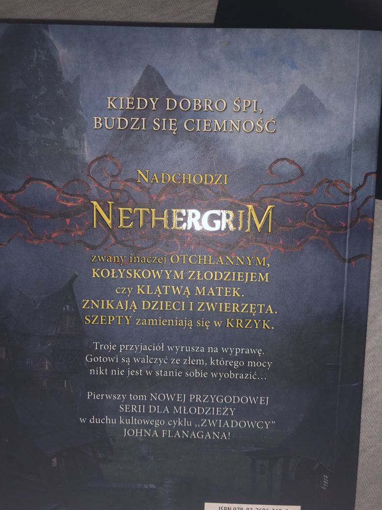 książka Nethergrim Otchłanny Matthew Jobin