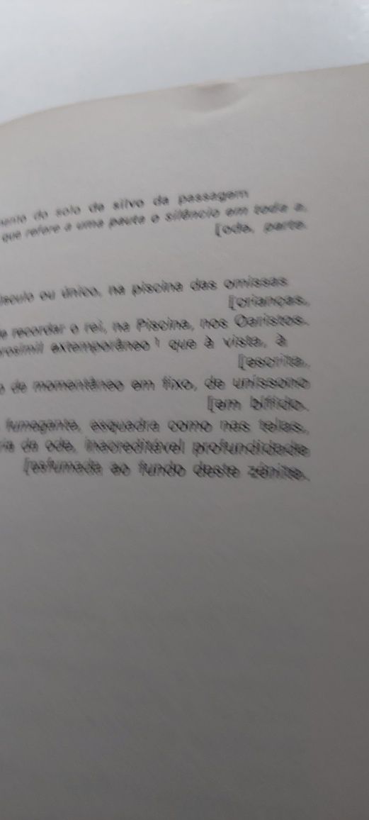 O Texto de João Zorro - Fiama Hasse Pais Brandão