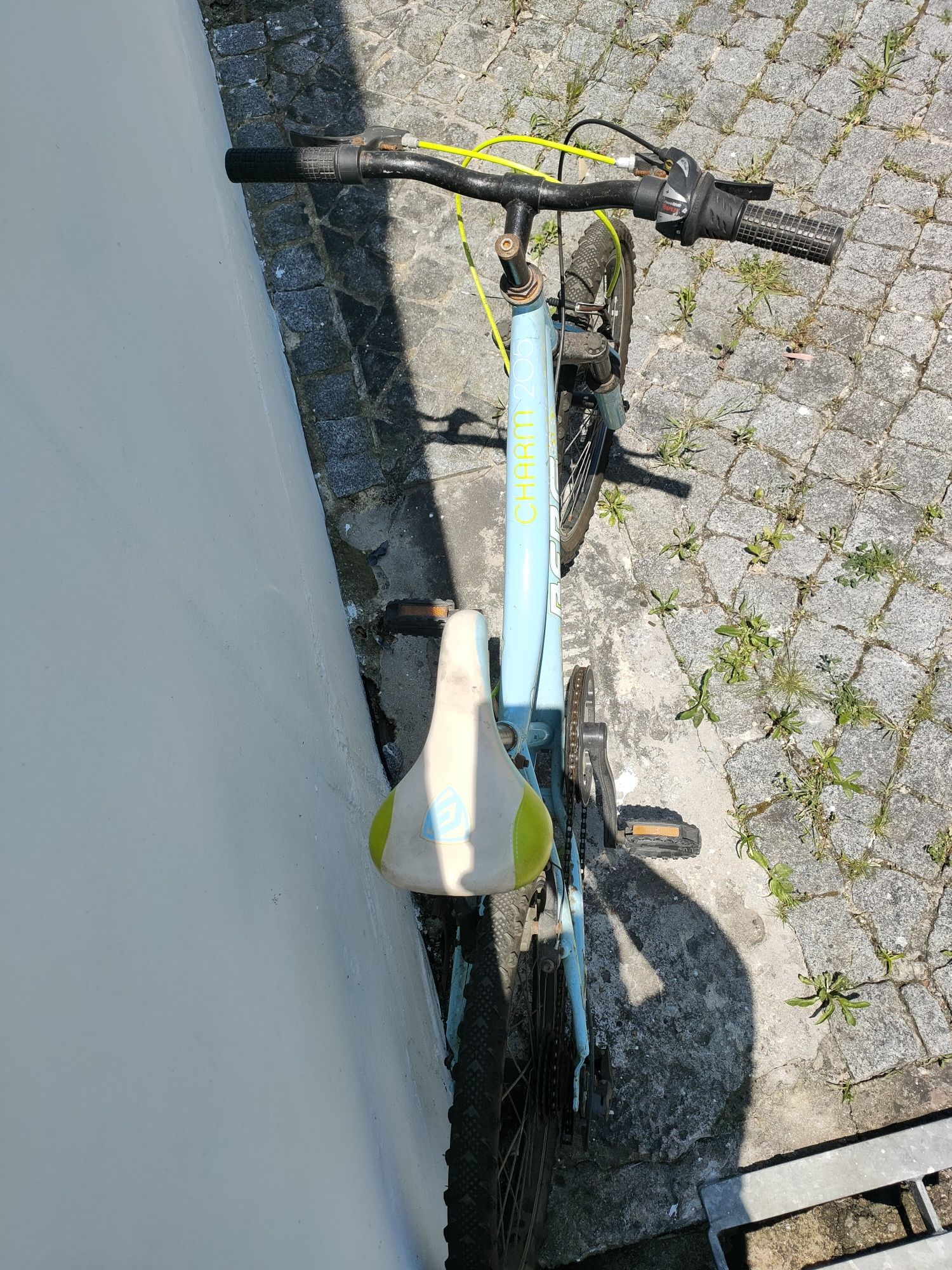 Bicicleta de criança