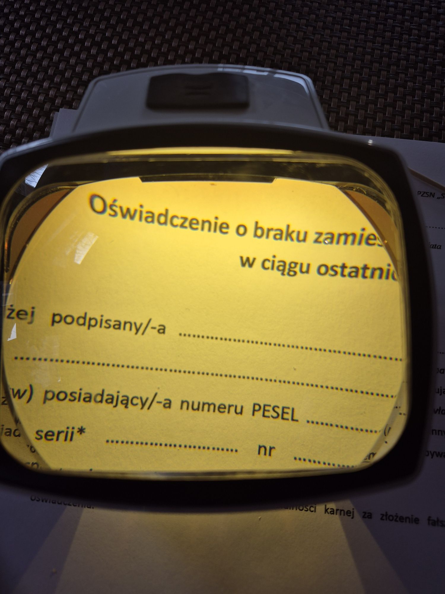 Lupa stojąca Eschenbach
