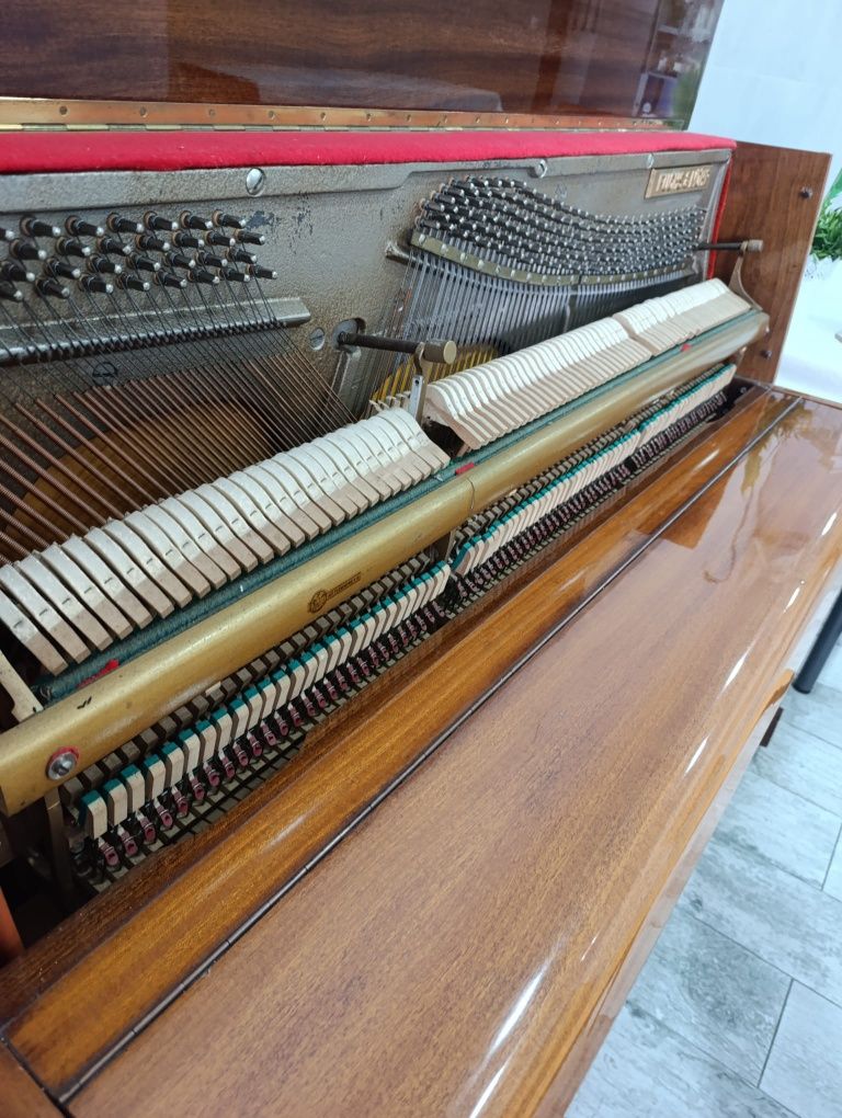 Piano acústico vertical de marca alemã: Fuchs & möhr