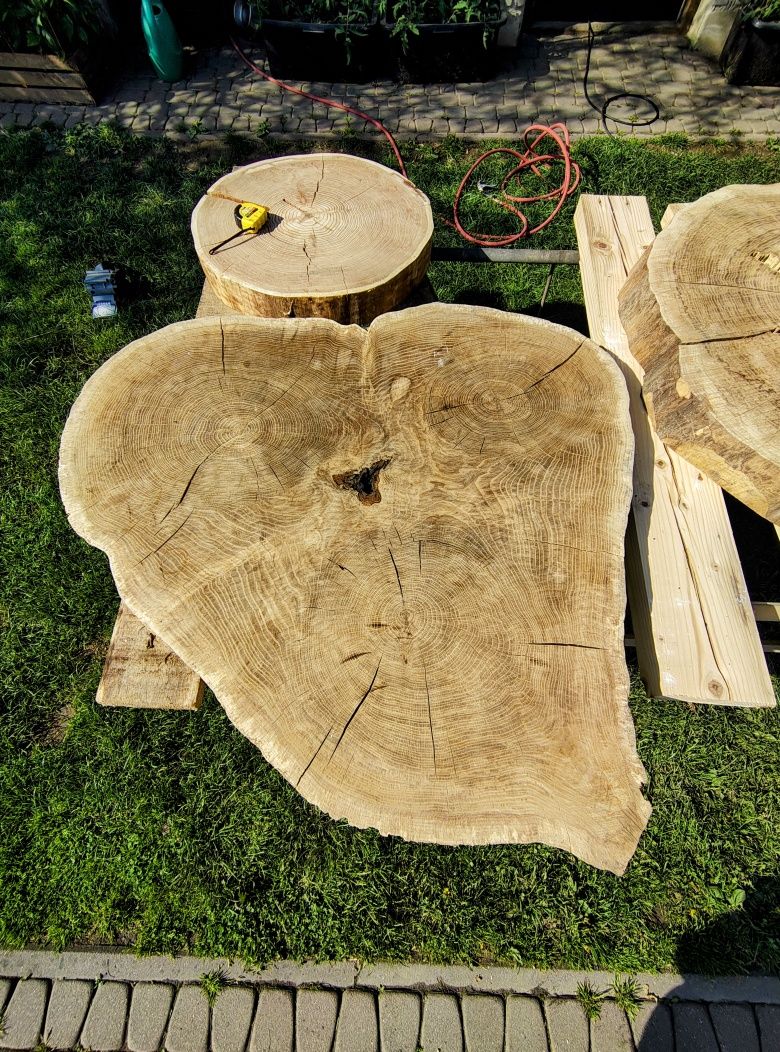 Plaster krążki drewna dąb modrzew jodła