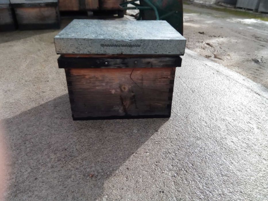 colmeias e alimentadores