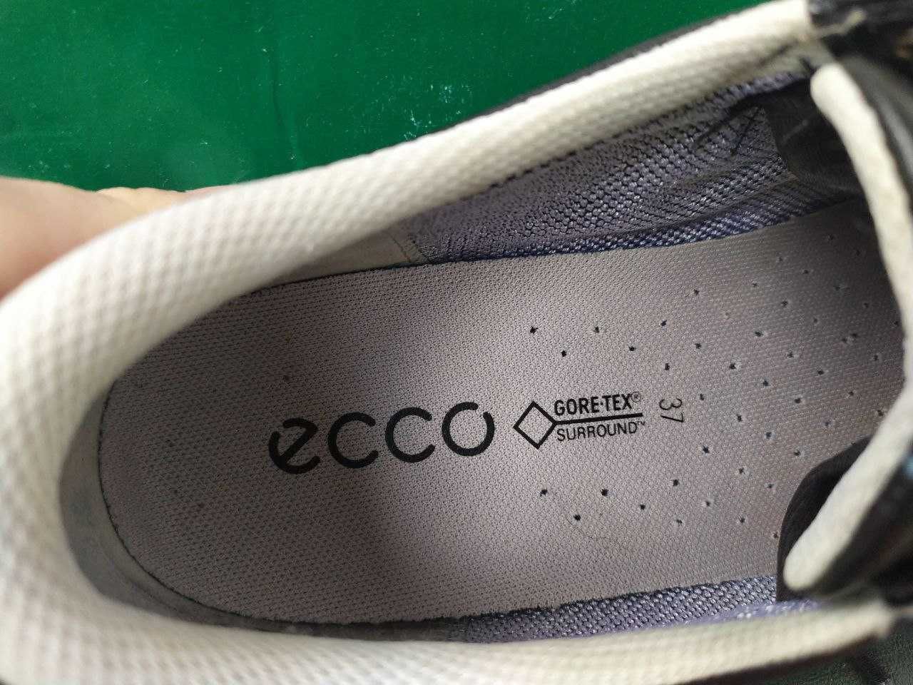 Кросівки ECCO Gore-tex