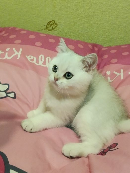 Чекаю тебе моя мамулічка