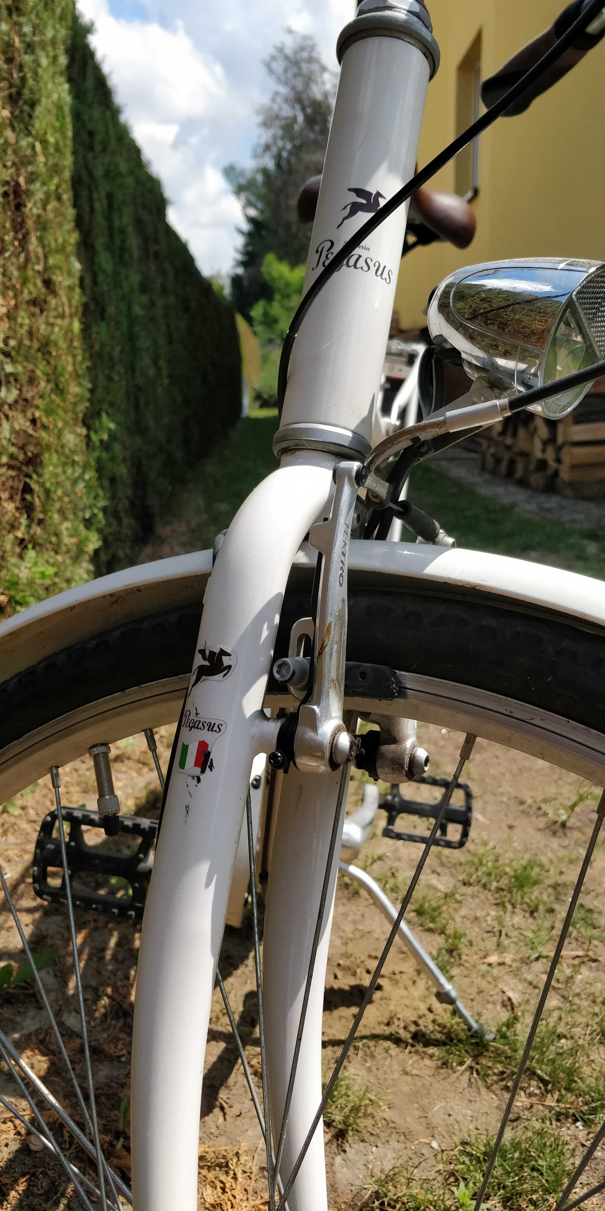 Rower - oryginalny Pegasus