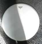 Pele REMO Ambassador Coated 22"