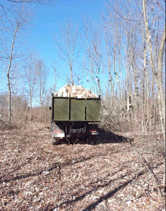 Продаю дрова твердих і м'яких порід