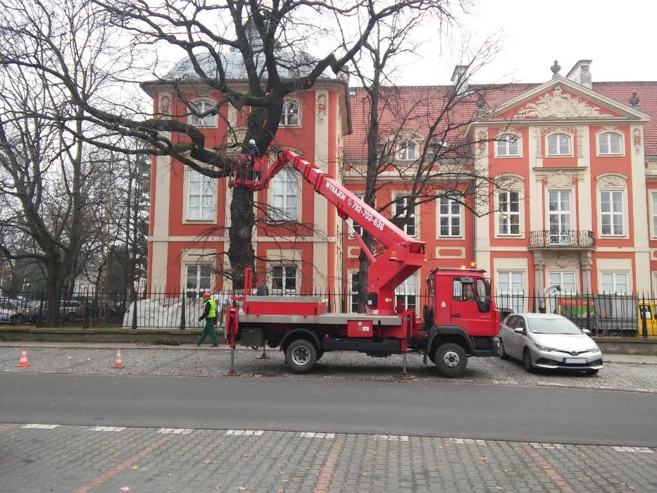 Wycinka drzew, Pielęgnacja drzew, Mulczowanie terenu, Warszawa Wawer