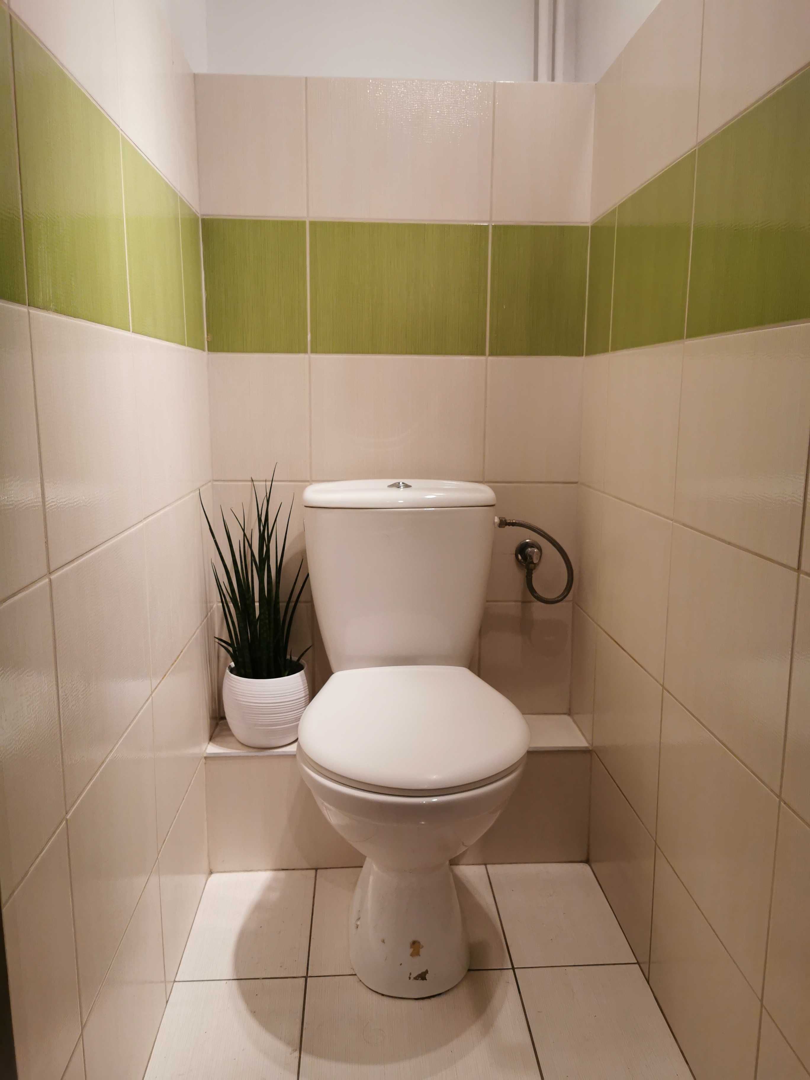 Idealny na start studiów, duży pokój [UAM, Przyrodniczy, Ekonomiczny]