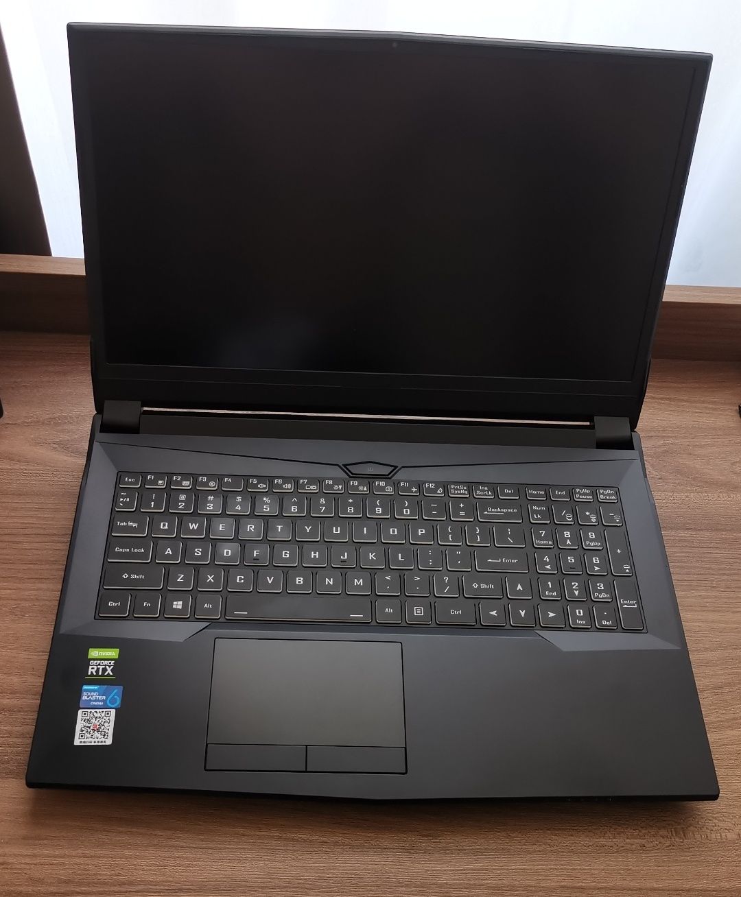 Clevo n 960 (hasse tx9).  3070 rtx (115w), i5 11400, 16 Gb