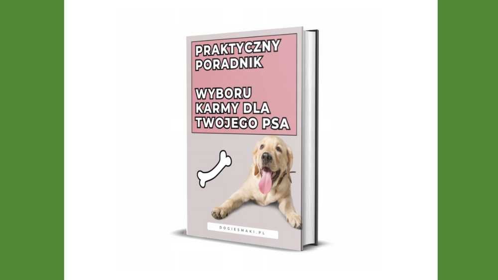Lekkie SCHODKI DLA PSÓW STARSZYCH chorych 3stopnie 30cm miękkie GRATIS