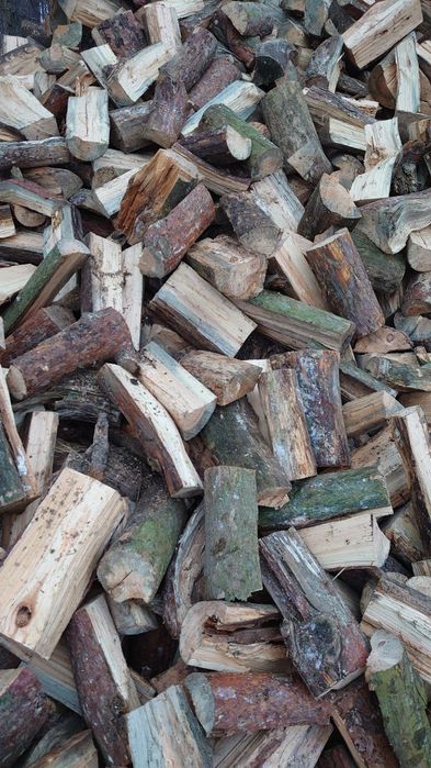 Drewno drzewo iglaste, liściaste mieszane opałowe opał suche