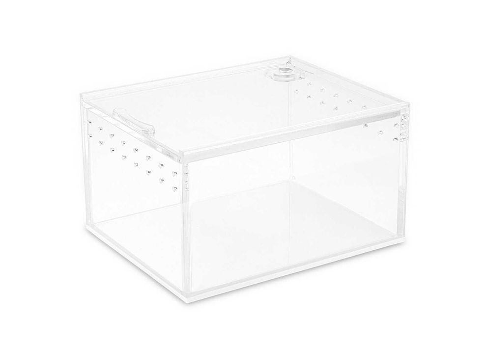 Mini TERRARIUM AKRYLOWE 10,5x8,5x6cm dla ptasznika skakuna skakuny