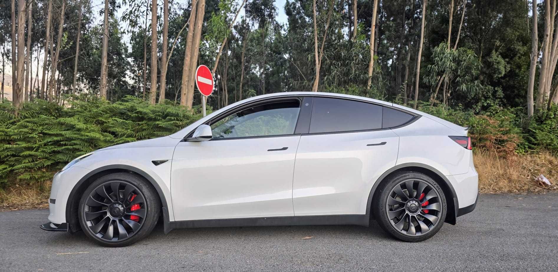 Tesla mod Y - Dual motor Performance AWD | 534 Cv