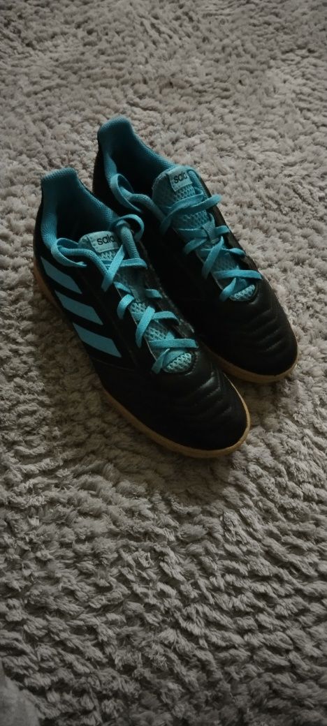 Adidas Predator Sala r.38