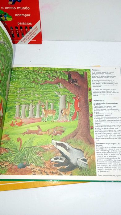 Livros da Coleção - Vamos Aprender