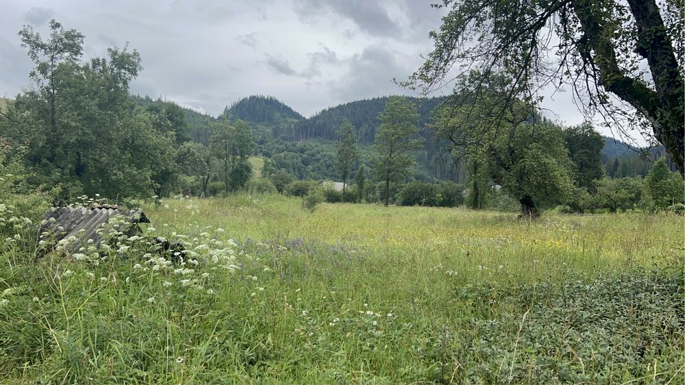 Продається ділянка у горах Закарпаття село Голятин
