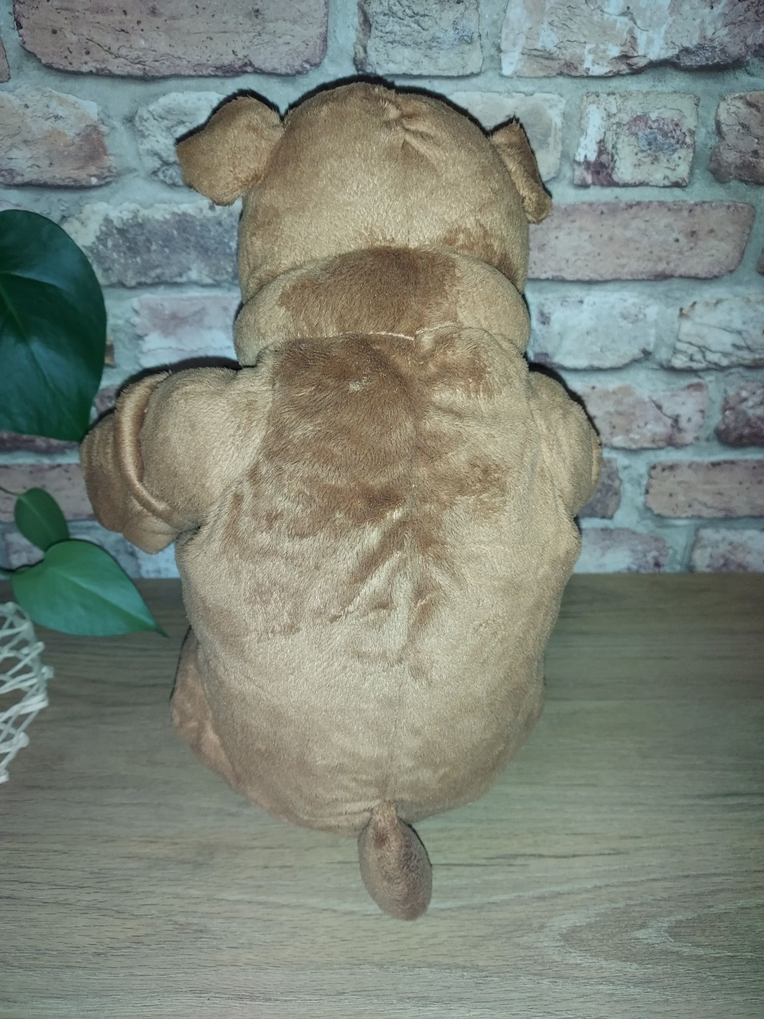 Maskotka duży piesek Bulldog z niedostępnej już kolekcji Ikea Klappa
