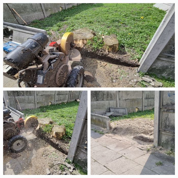 cięcie żywopłotów Formowanie krzewów ozdobnych pielęgnacja ogrodu