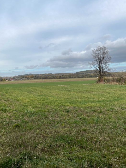 Działka rolno-budowlana 1580m2 posiadająca warunki zabudowy