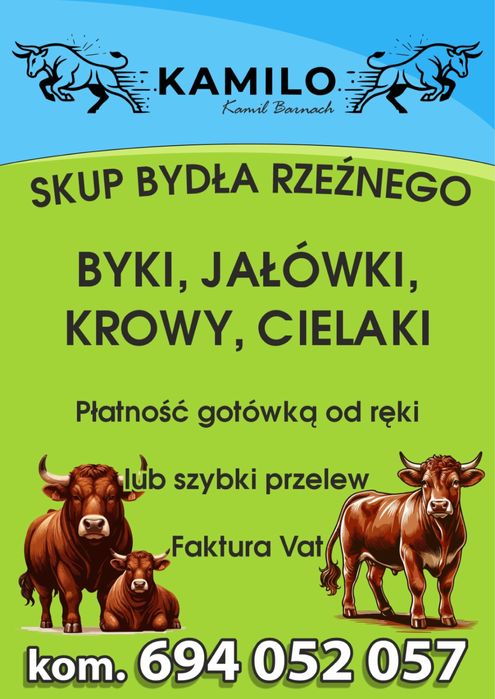 SKUP BYDŁA rzeznego oraz hodowlanego
