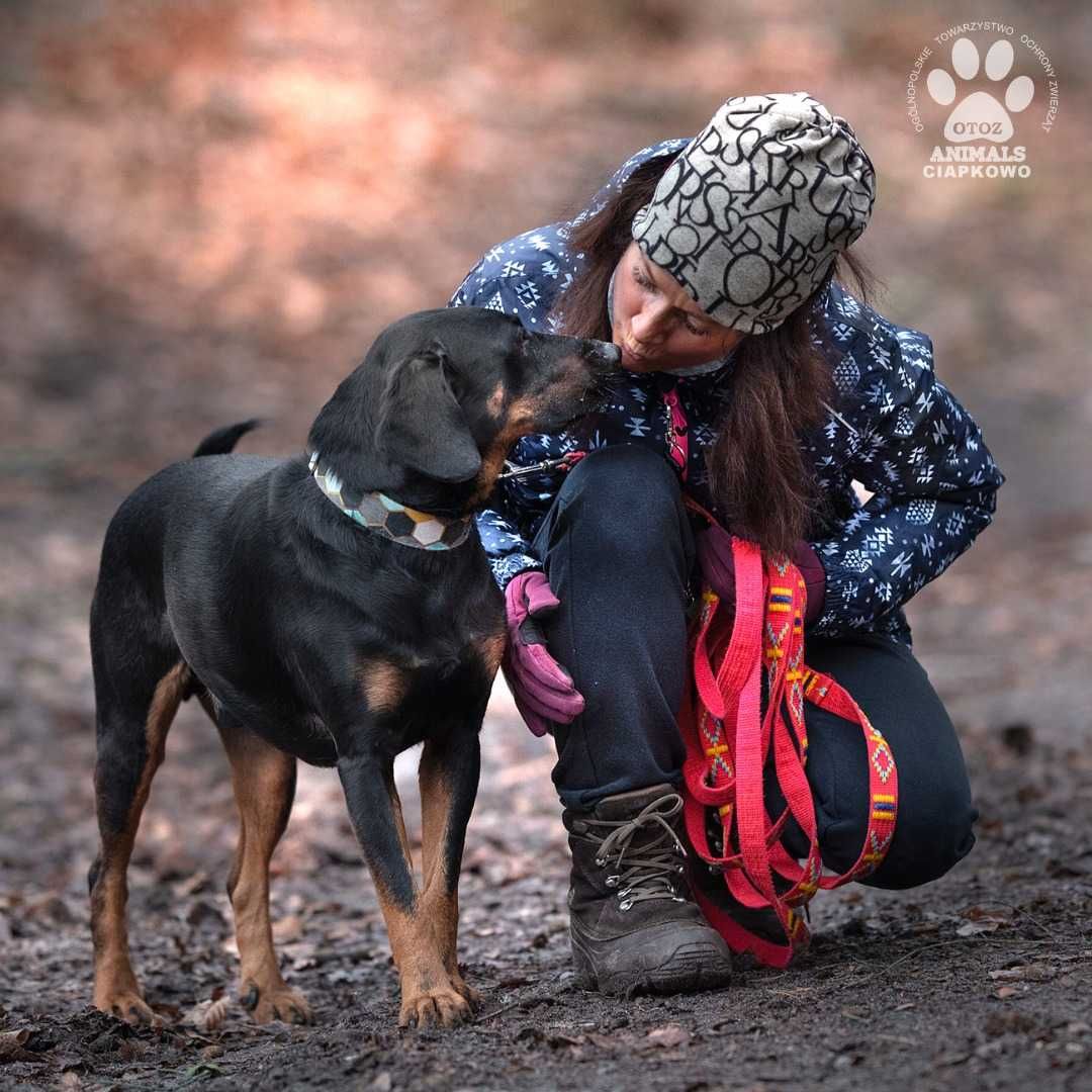 Pako/Sierpień czeka na dom w OTOZ Animals Schronisku Ciapkowo!