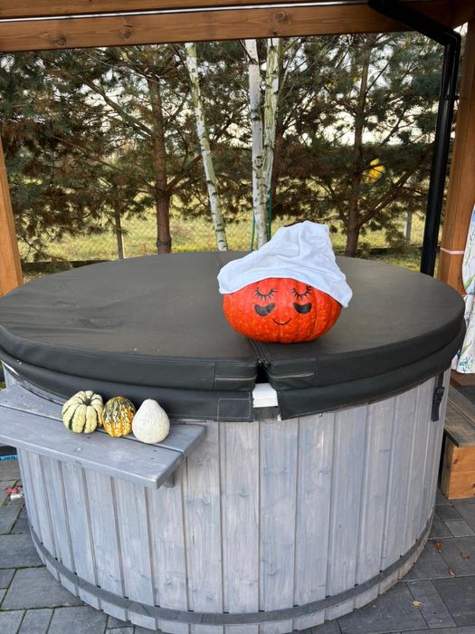 Dom letniskowy nad stawem do wynajęcia, Nowa Wieś