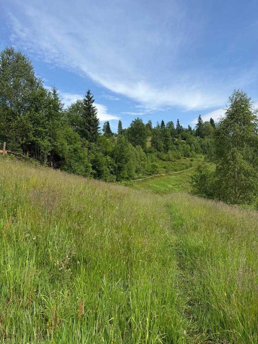 Продаж земельної ділянки у с. Вишків