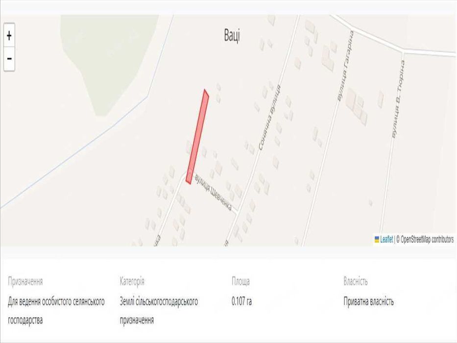 Землі сільськогосподарського призначення в с.Ваці.