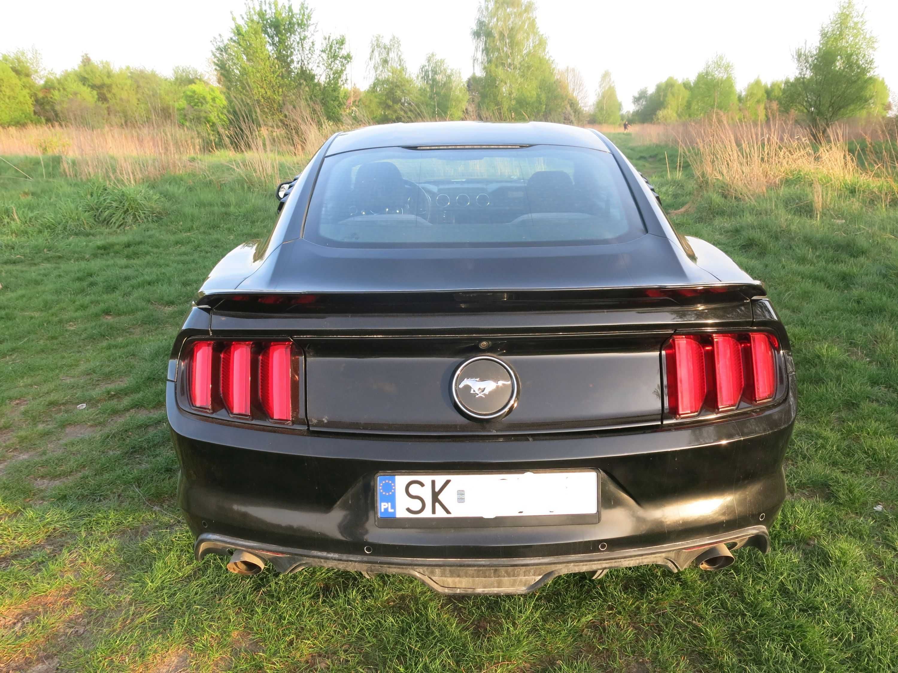 Mustang 3.7 2016r .Manual