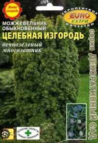 Цілющий Ялівець, Можевельник вічнозелений, морозостійкий, (саджанці)