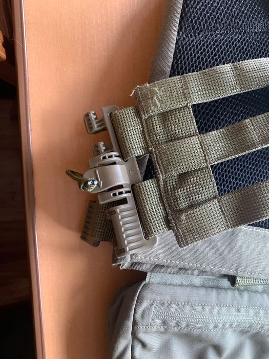 Плитоноска олива