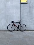 Ridley Arena fix ostre koło rower