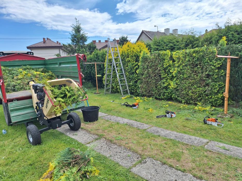 Zrębkowanie, wycinka, rębak, tuje. Thuje przycinanie