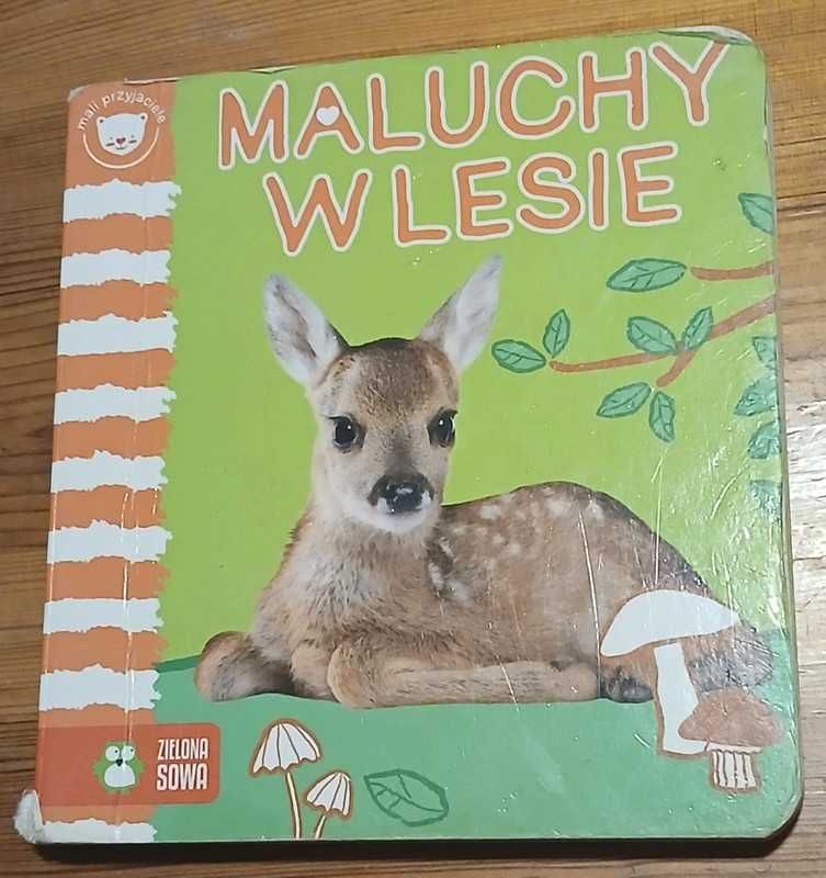 Maluchy w lesie - książeczka dla dzieci