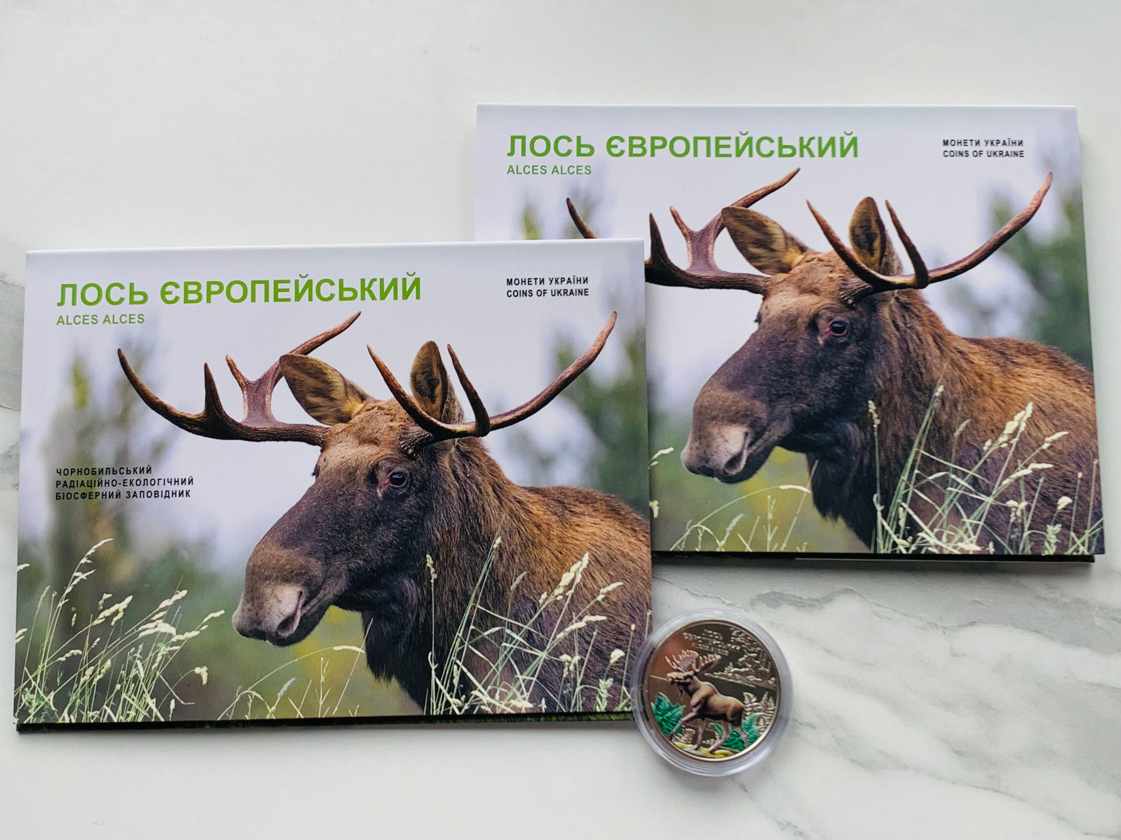 Лось, Рік Змії і Дракона, Пльонтанізм і інші