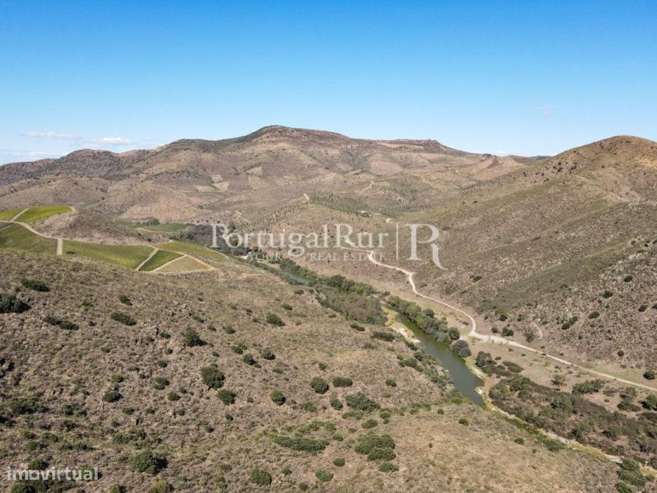 Propriedade em Vila Nova de Foz Coa - Vinho do Douro