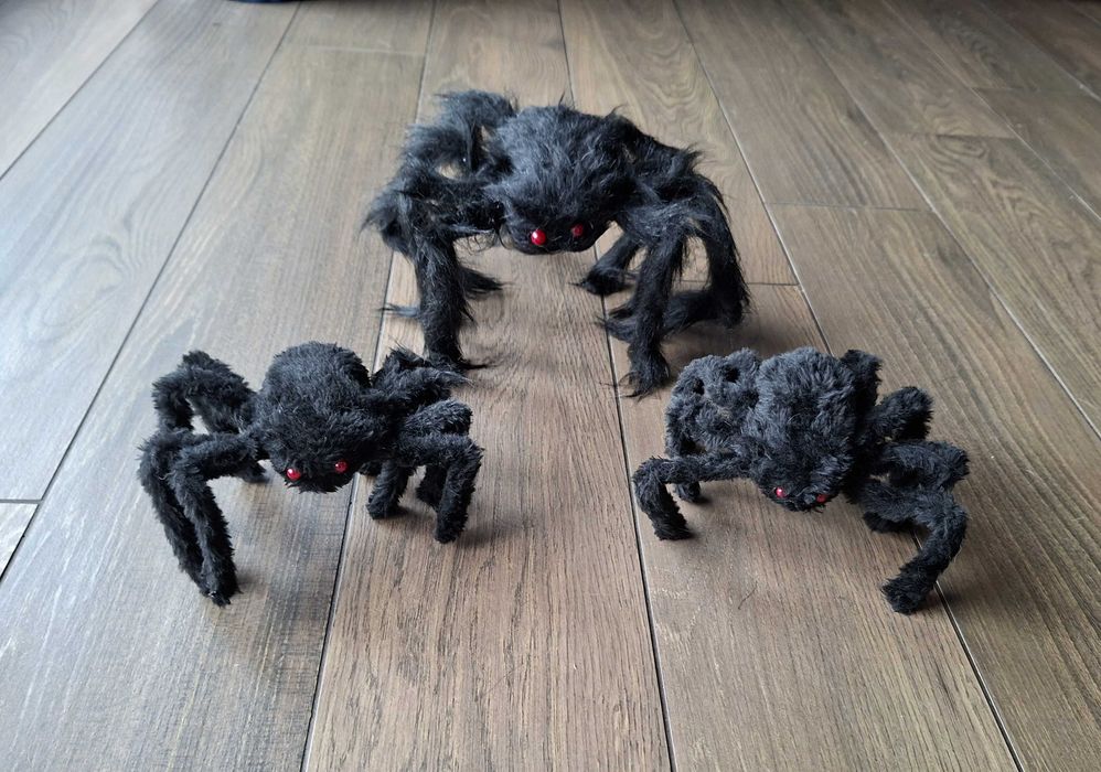 Włochate pająki - Halloween