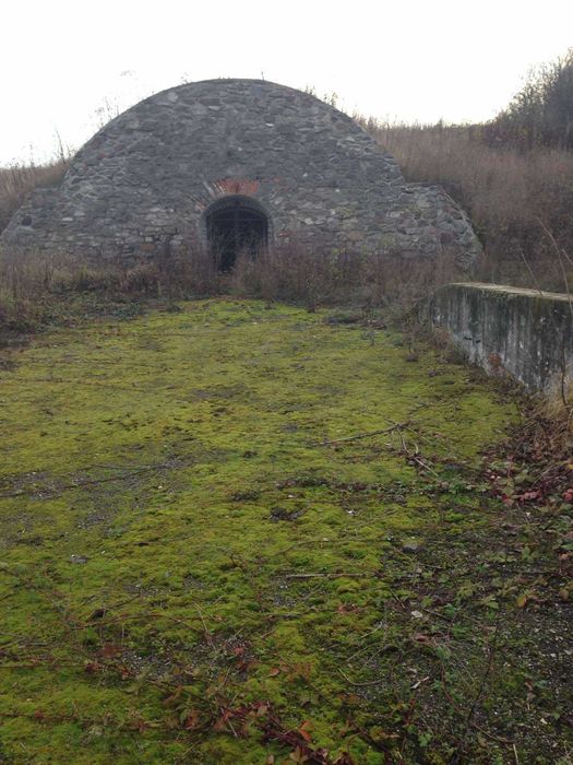 Екс пропозиція : 3 га з термальною водою та готовим проєктом готелю