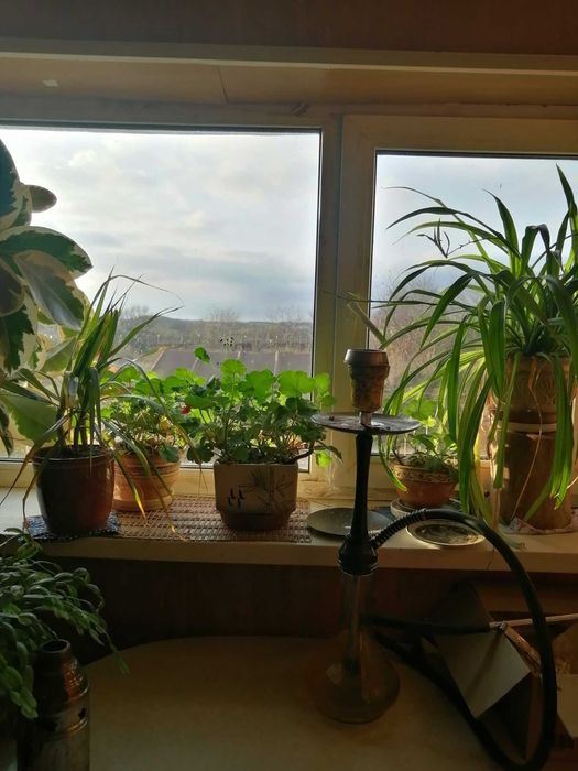 Продам дім селище Яворницьке