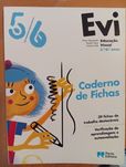 Cadernos de fichas/atividades 5°/6°anos