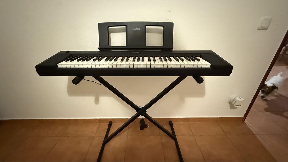Piano Yamaha Piaggero NP-15