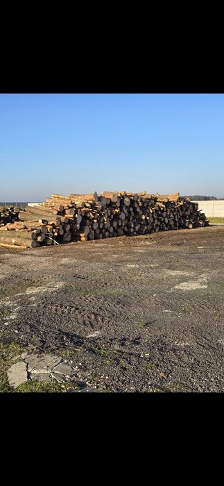 Drzewo opałowe. sosna