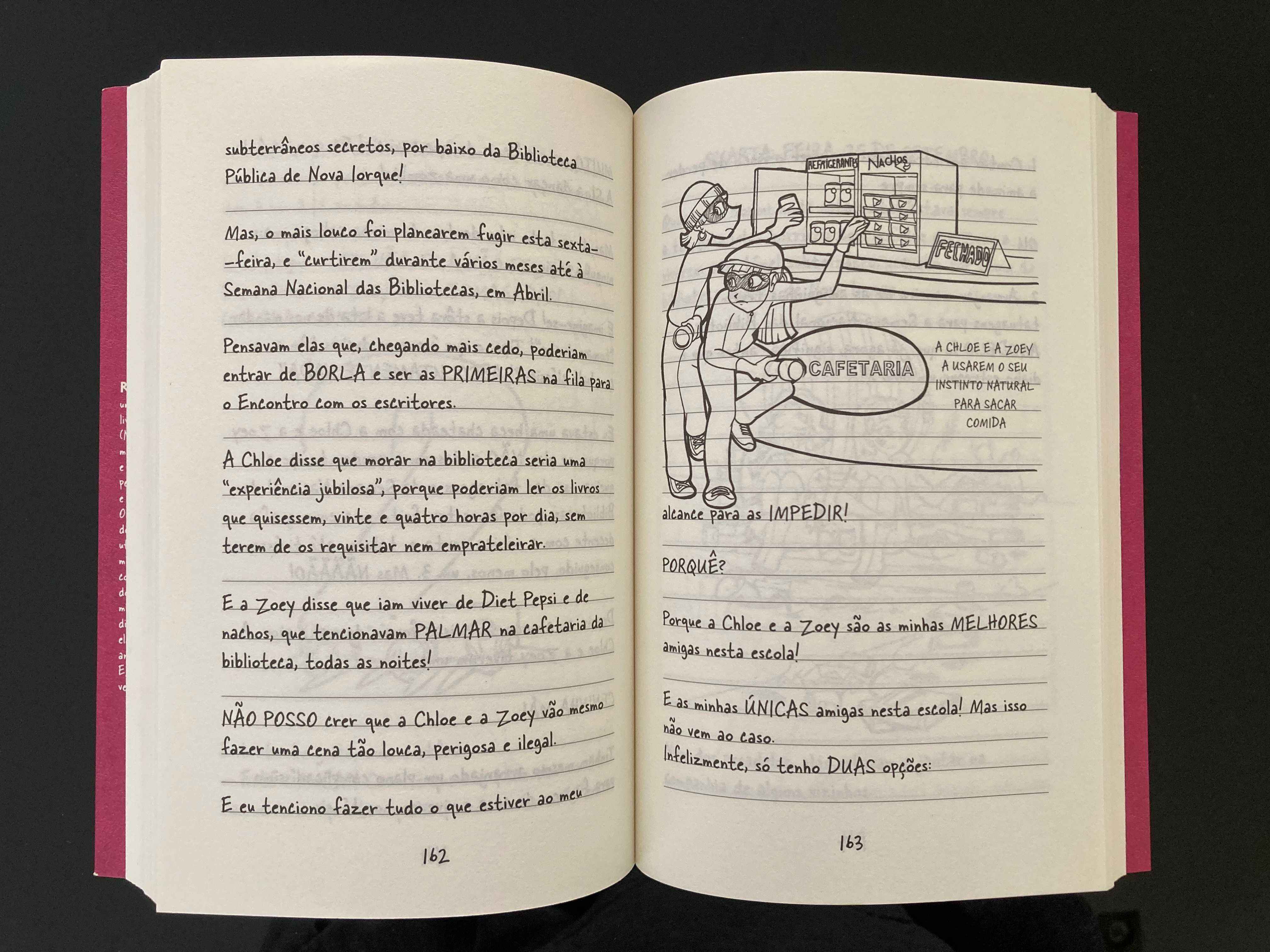 Diário de uma totó 1: Histórias de uma vida pouco ou nada fabulosa