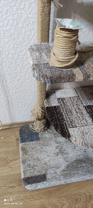 Кошачья когтеточка.