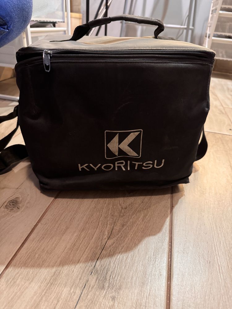 Kyoritsu KEW6016